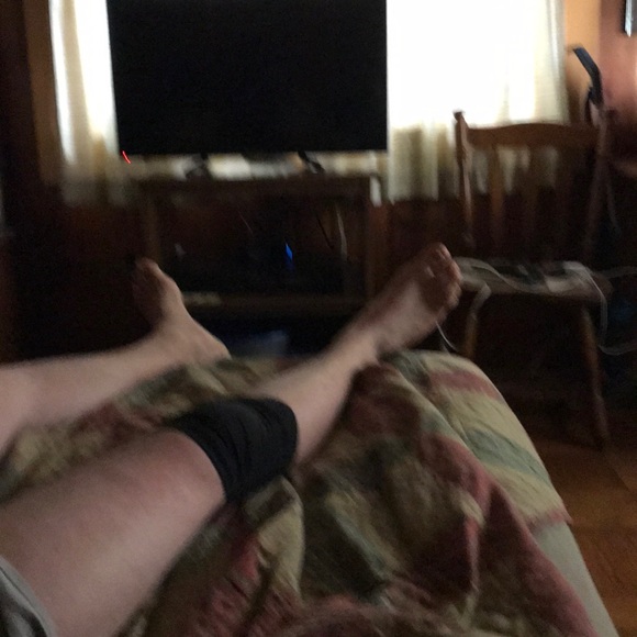 Meet your Posher, Lennon - Picture 1 of 1